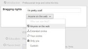 Google Plus profile sharing settings; click for full-size image.
