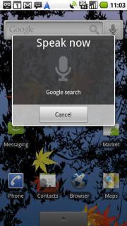 Google Search app