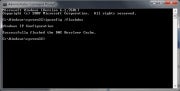 Command Prompt screen for flushing your DNS cache.