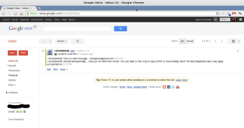 Setting up a new Google Voice account from the Web page.
