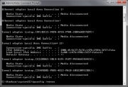 Command Prompt screen for resetting an IP address.