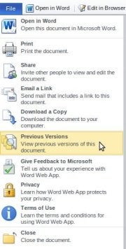 SkyDrive version control